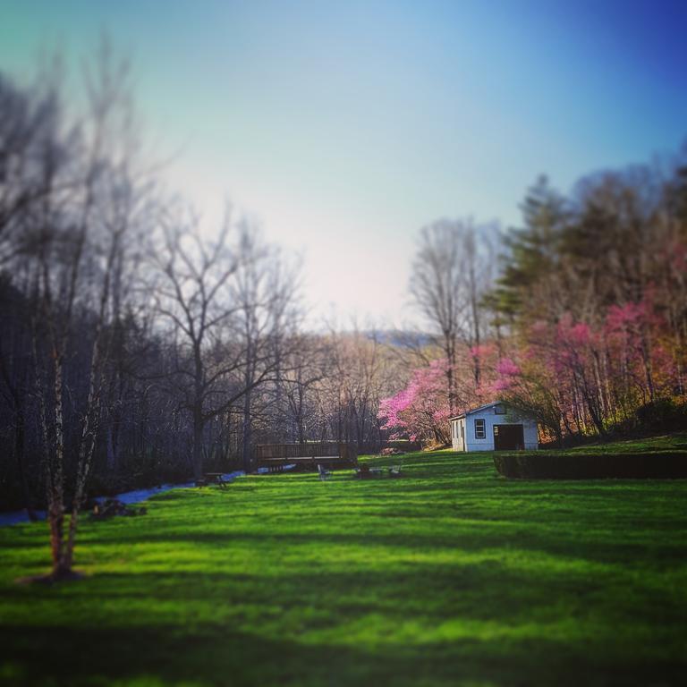 Mountain Rose Inn Woolwine Exterior foto